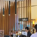 MOMO | 코트야드 바이 메리어트 서울 판교 MoMo Cafe 디너 뷔폐 후기