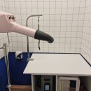 올리스 일산백석점 | ★애견 셀프목욕★ 24시간 셀프강아지목욕 가능한 일산백석동 올리스24