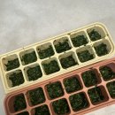 스마트큐브 1차 | 초간단이유식 최종 정착 방법! - 개별포장 언제나큐브 활용법 총정리