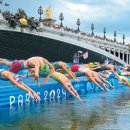 수영-101 이미지