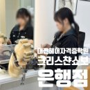 대전헤어자격증학원 크리스챤쇼보은행점 원패스의 향연