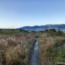 봉정여자 이미지