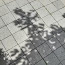 노안오토바이