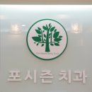 연세포시즌치과의원 네이버블로그