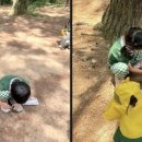 현대한솔유치원 네이버블로그