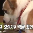 배은농장 네이버블로그