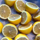 들말농장 이미지