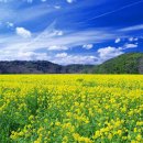 봉천 한의원 이미지