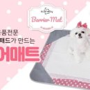 씬바이