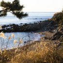 청사포로 이미지