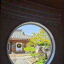 금성일기 | 경주 첨성대, 황리단길 근처 한옥 숙소 금성일기 후기