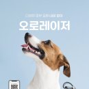 라퓨클레르 동물피부클리닉 이미지