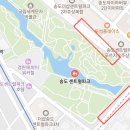 (주)마린테크노 | 송도 벚꽃 명소 추천, 송도 센트럴파크 벚꽃 위치, 주차, 자전거대여, 피크닉 등