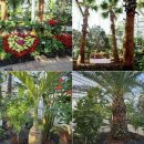 제천농장 이미지