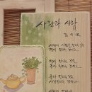 김이호 이미지