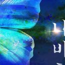 강남-133 이미지