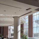 루시호텔 | 제주신라호텔 조식&amp;중식 후기(조식-중식 비교 및 변경 가능_사진많음주의)