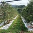 순창군농업기술센터 이미지