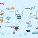 대전아쿠아리움 이미지