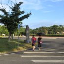 인삼골오토캠핑장 이미지