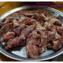 갈매기먹짱 이미지