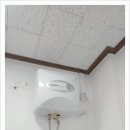 경동물병원 티스토리