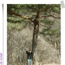 여울목농장
