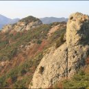 상석농장 Daum카페