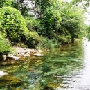 용문산장 펜션 이미지