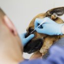 곤지암 동물병원 이미지