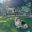 (주)늘푸른초원 이미지