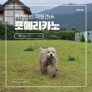구피애견 | 대구 근교, 밀양 대형견 가능한 애견펜션 " 포메리카노 "