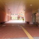 신당초등학교 병설유치원 이미지