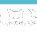 도곡치유동물병원 이미지