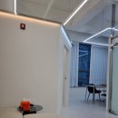 어멜리즈