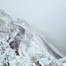 설국 - 강남구 남부순환로 2806 | 설국