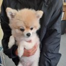 세븐일레븐 음성 시티프라디움 이미지