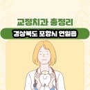 포항시남구연일읍보건지소 | 경상북도 포항시 연일읍 교정치과 총정리