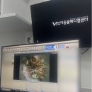 4u동물메디컬센타 | 제주 동물병원: 브이동물메디컬센터 강아지 건강검진 후기