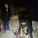 이준석 사과문 전문(feat.홍매화) 이미지