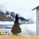 성운개발주