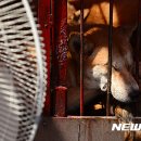 황구건강원 - 진주시 촉석로 120 | 황구건강원