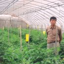 임천농장 이미지