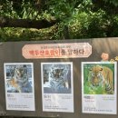지에스25 조례봉화점 | 국립백두대간수목원에서 1박2일(해설형 가든스테이) 호랑이도 있지용~