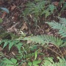 (주)심산 이미지