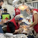 부산외국인서비스센터 이미지