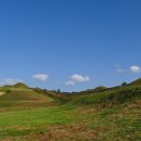 함안 말이산고분군 이미지