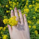 주경목장 이미지