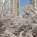 래미안이스트파크공인중개사사무소 이미지