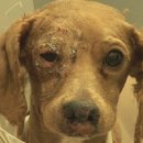 서명농장 이미지